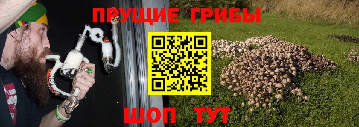 Псилоцибиновые грибы мицелий  Вход с VPN  Долгопрудный 